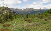 VALLE ANCOGNO - VALLE RAISERE - FOTOGALLERY